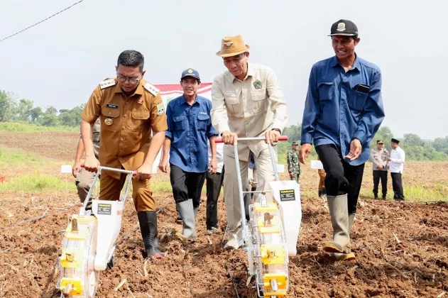 Gubernur Andra Soni Canangkan Gerakan Tanam Jagung untuk Ketahanan Pangan di Banten