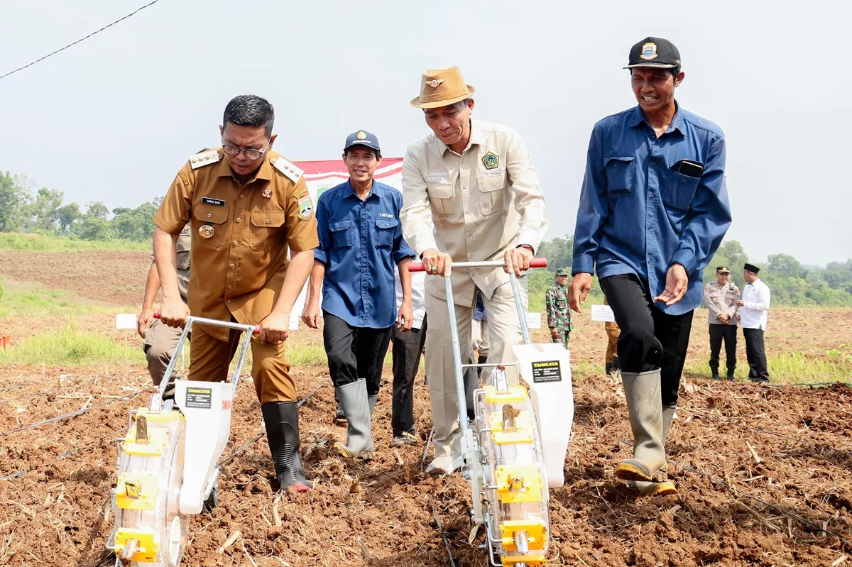 Gubernur Andra Soni Canangkan Gerakan Tanam Jagung untuk Ketahanan Pangan di Banten