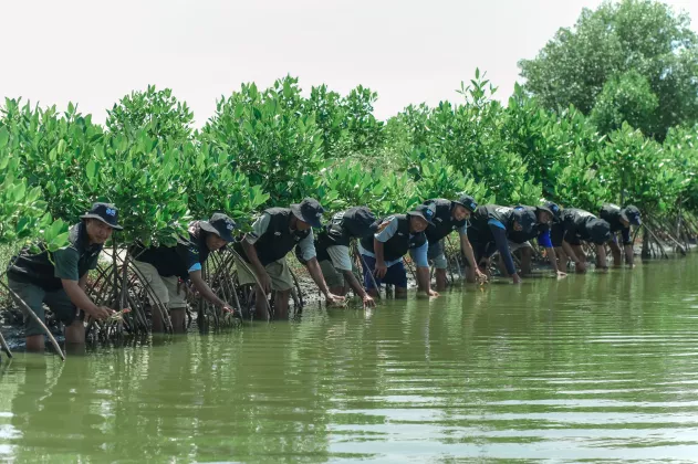 Peringati Hari Bumi, BRI Perkuat Komitmen Jaga Ekosistem Pesisir Lewat Penanaman Mangrove di Muara Gembong Bekasi 