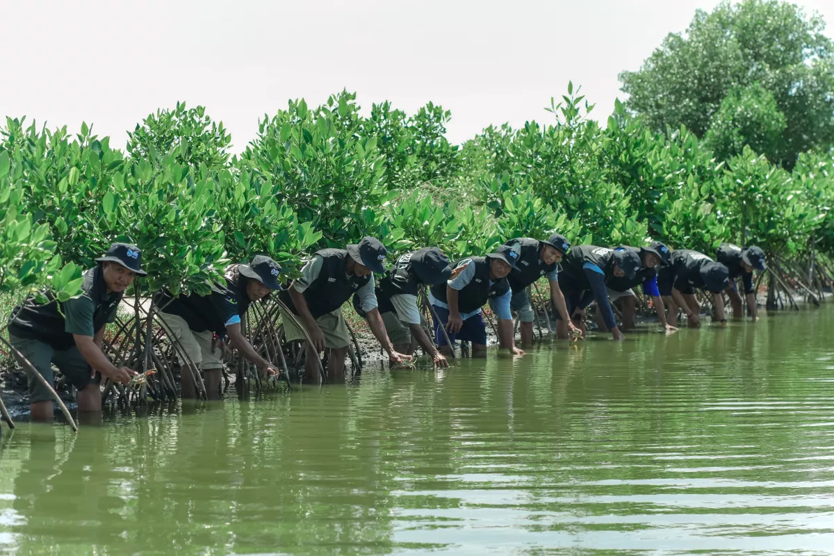 Peringati Hari Bumi, BRI Perkuat Komitmen Jaga Ekosistem Pesisir Lewat Penanaman Mangrove di Muara Gembong Bekasi 