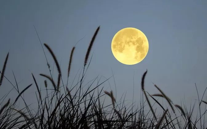 FENOMENA LANGKA MALAM INI! Micromoon (Flower Moon) Hiasi Langit, Mengapa Bulan Terlihat Lebih Kecil?