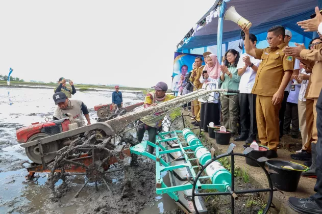 Provinsi Banten Tembus Delapan Besar Lumbung Beras Nasional, Andra Soni Soroti Ketahanan Pangan