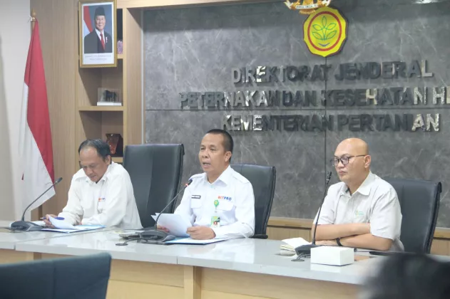 Kementan Gerak Cepat Stabilkan Harga Ayam Hidup, Asosiasi Peternak Siap Kawal di Lapangan