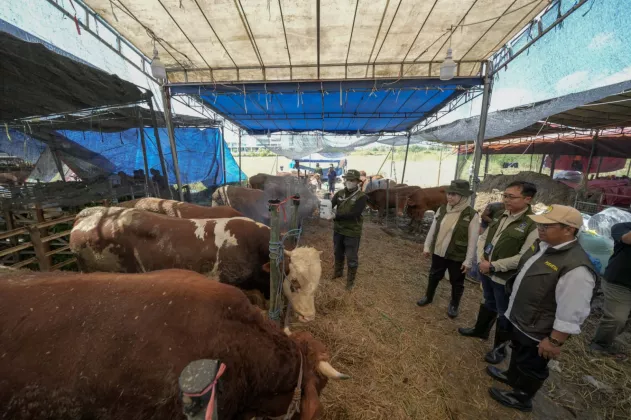 Kolaborasi Pelindo Petikemas dan Pemkot Surabaya, Pastikan Hewan Kurban Aman untuk Masyarakat Jelang Iduladha 1447 H