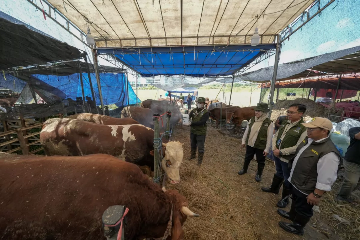 Kolaborasi Pelindo Petikemas dan Pemkot Surabaya, Pastikan Hewan Kurban Aman untuk Masyarakat Jelang Iduladha 1447 H