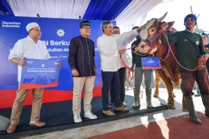 BTN Salurkan 1.605 Hewan Kurban 071000