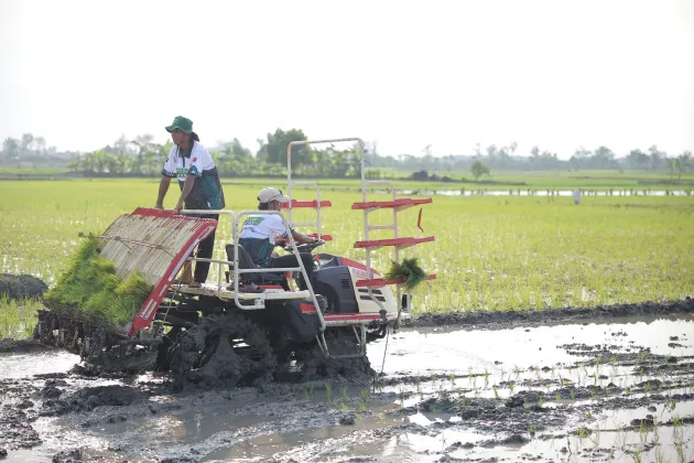Stok Beras RI Tembus 28 Juta Ton, Wamentan Sudaryono Kebut Tanam 750 Hektar Padi di Lamongan Hadapi El Nino