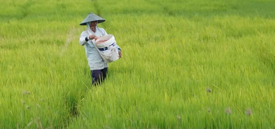 NTP Mei 2026 Naik Jadi 127,73, Mentan Amran Sebut Pendapatan Petani Tumbuh Lebih Cepat dari Biaya Produksi