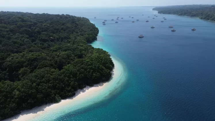 Jelajahi Keindahan Ujung Kulon, Banten Tawarkan Pengalaman Wisata Alam Kelas Dunia
