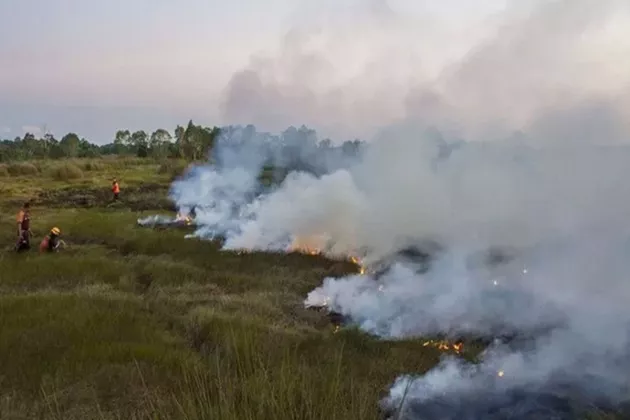 Pemerintah Larang Keras Pembukaan Lahan dengan Cara Membakar, Menhut Ingatkan Ancaman Sanksi Tegas!