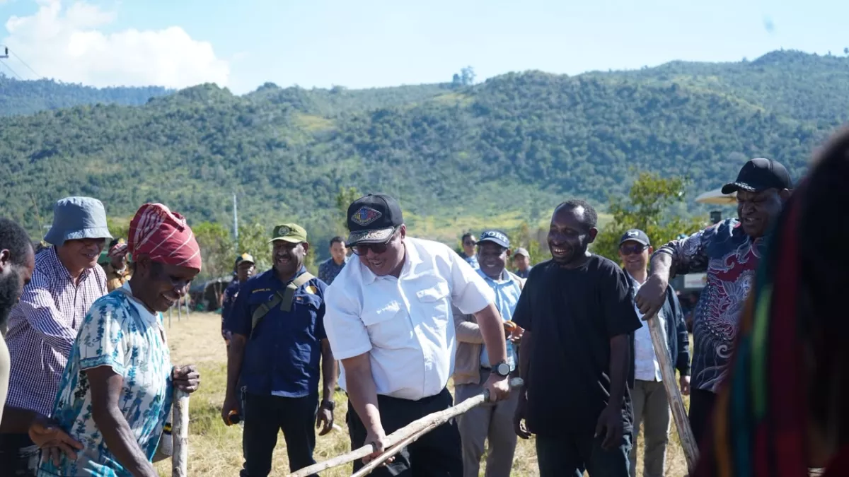 Kementan Percepat Cetak Sawah 2.000 Hektare di Papua Pegunungan, Perkuat Fondasi Swasembada Pangan