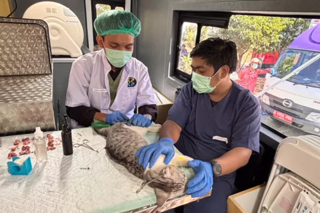Pemprov DKI Luncurkan Klinik Hewan Keliling