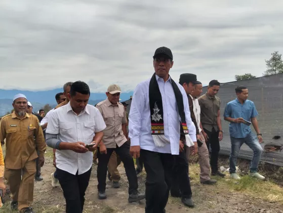 Harga TBS Sawit Kembali Menguat, Mentan Amran: Siapa pun yang Permainkan Harga Siap-Siap Ditindak Tegas