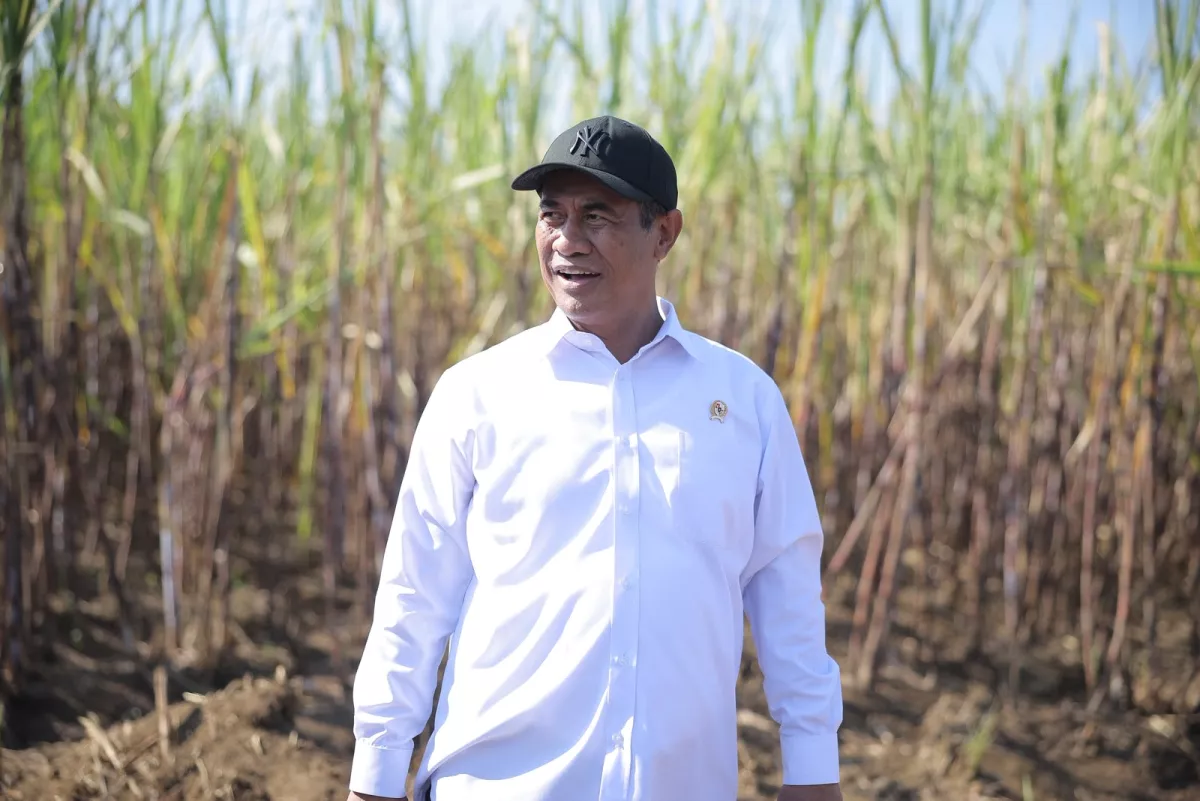 Target Swasembada Gula Dua Tahun, Presiden ke Mentan Amran: 'Jangan Masuk Rumah Sakit, Negara dan Bangsa Masih Butuh Kau'
