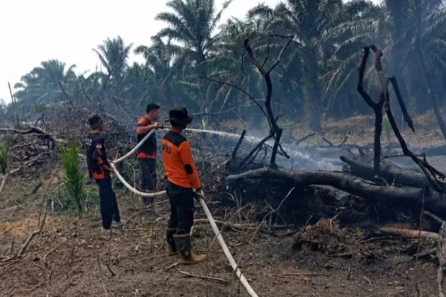 Nyaris Meluas! Karhutla di Kampar Berhasil Dijinakkan Setelah Operasi Dramatis
