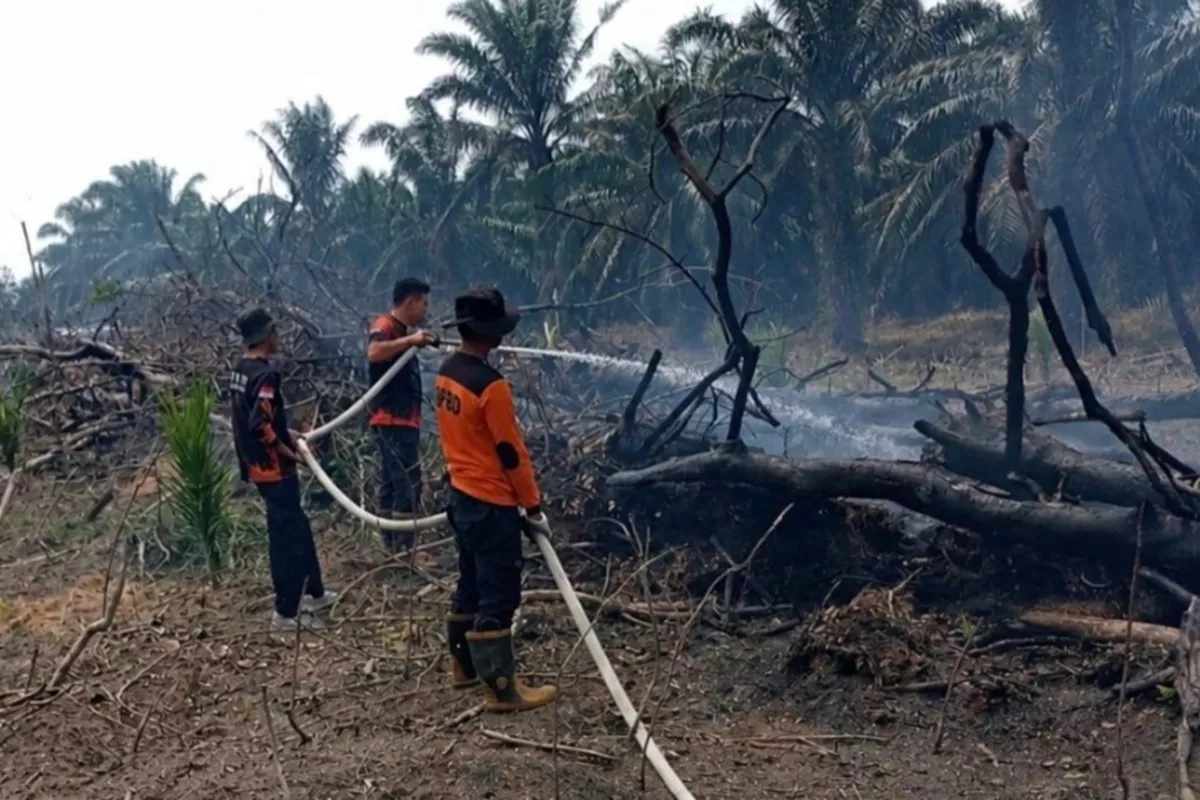 Nyaris Meluas! Karhutla di Kampar Berhasil Dijinakkan Setelah Operasi Dramatis