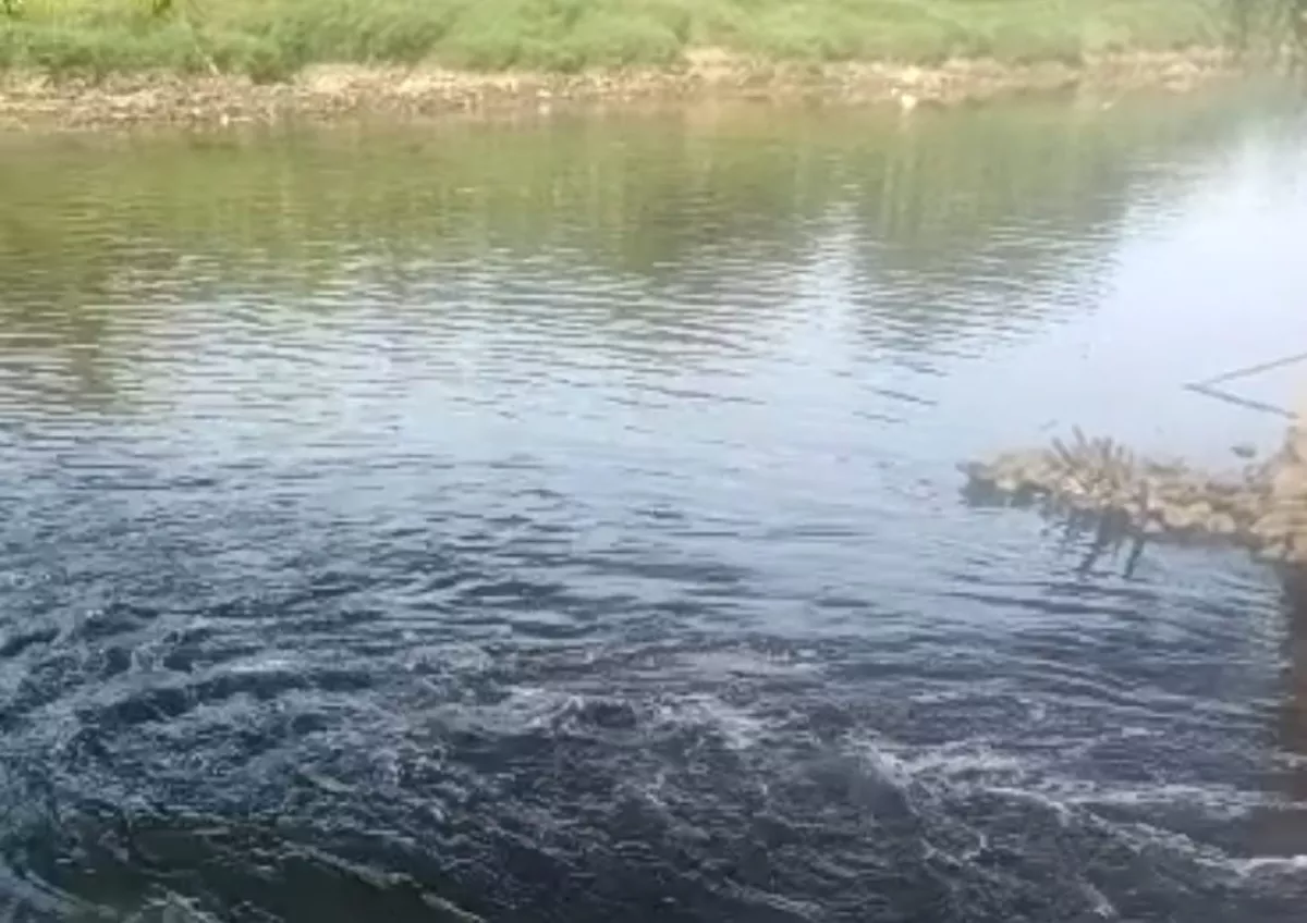 Andra Soni: DLHK Banten Temukan Penyebab Air Sungai Cisadane Menjadi Hitam