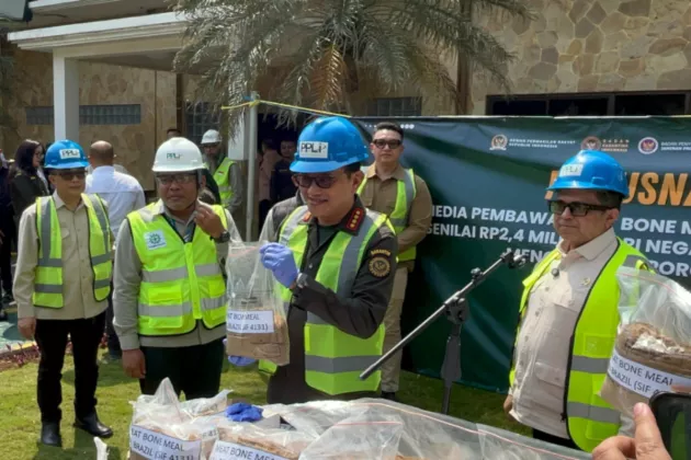 Barantin Ancam Pidanakan Importir MBM Brasil, Diduga Sengaja Campur Babi
