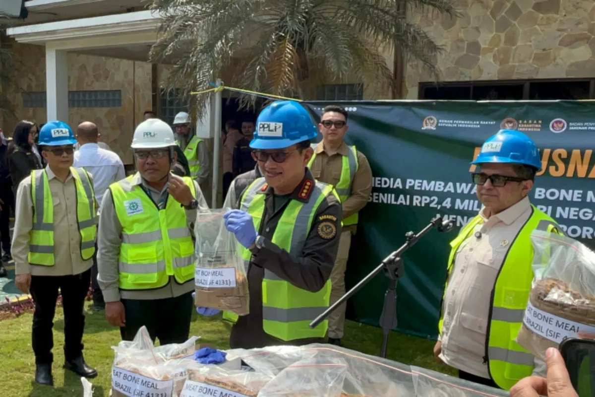 Barantin Ancam Pidanakan Importir MBM Brasil, Diduga Sengaja Campur Babi