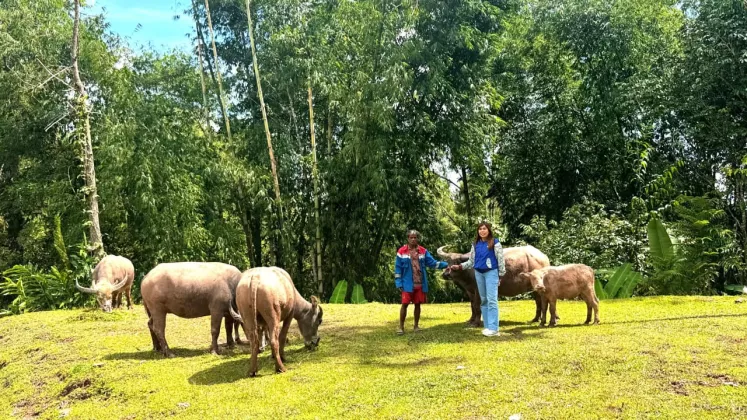 Semangat dan Dedikasi Mantri BRI Hadirkan Akses Perbankan bagi Masyarakat Pegunungan Toraja Utara