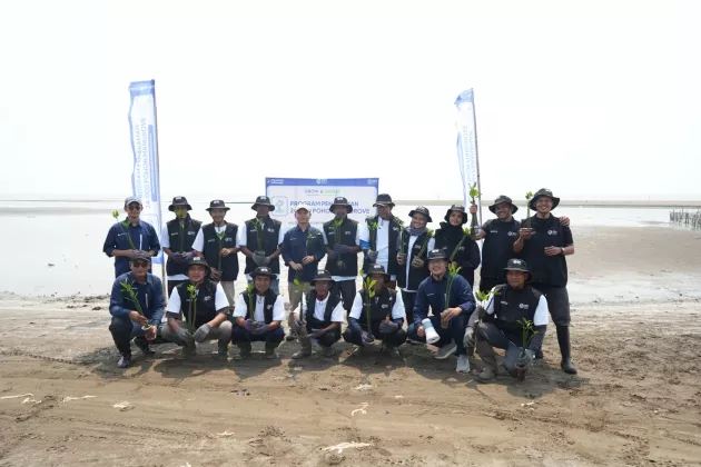 Hari Mangrove Sedunia 2026, BRI Peduli Libatkan Kelompok Tani Lokal Tanam 24.000 Mangrove untuk Pulihkan Ekosistem Pesisir 