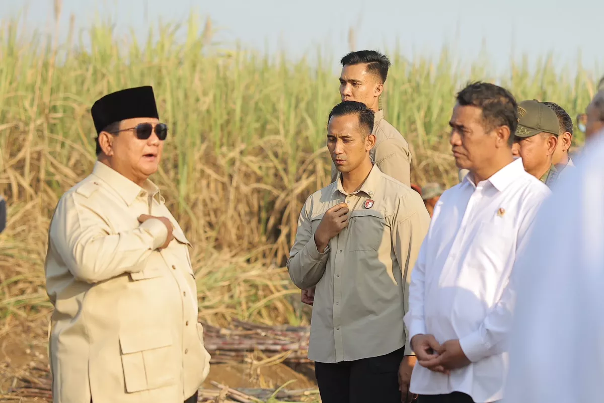 Mentan Amran: Presiden Minta Tingkatkan Produksi, Semua Pengolahan Gula Wajib Miliki Kebun Tebu