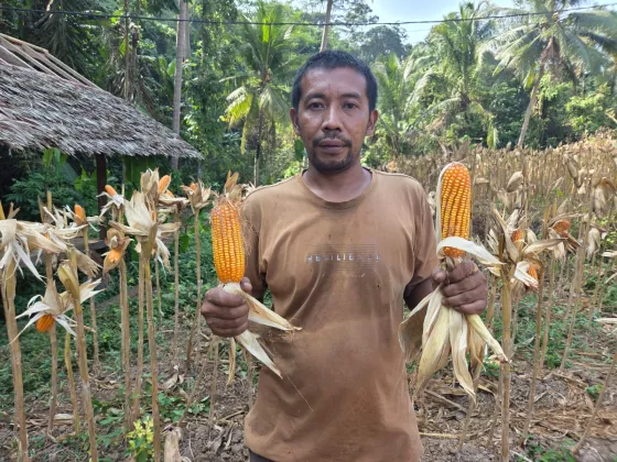 Alsintan Gerakan Ekonomi Desa, Kaum Muda Mulai Lirik Pertanian