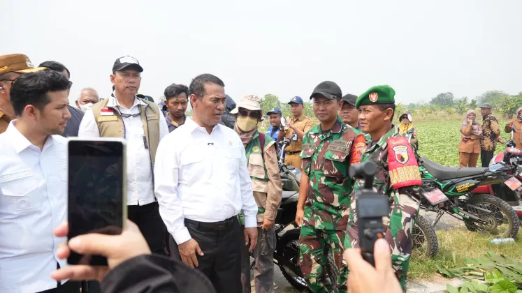 Soal Tentara Bantu Petani Banyak Dipertanyakan, Ini Penjelasan Mentan Amran