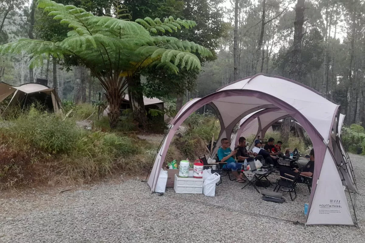 Menepi Sejenak ke Ciwidey, Rasakan Sensasi Glamping di Tengah Hutan Pinus