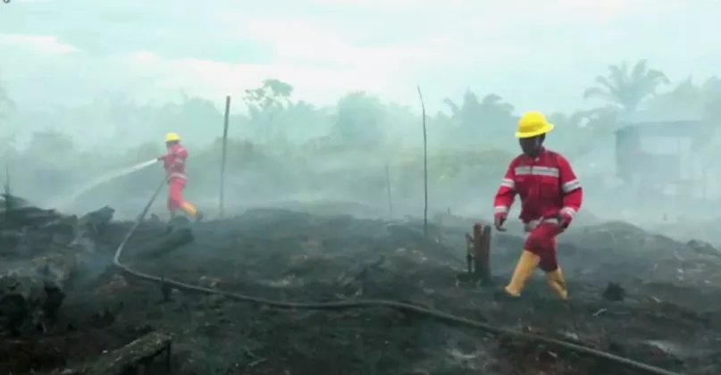 Pakar IPB University: Dorong Pencegahan Kebakaran Gambut Berbasis Sains dan Verifikasi