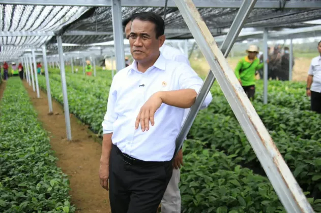 Mentan Amran Perkuat Kopi-Kakao Lampung, 2,6 Juta Bibit Disiapkan untuk 18 Ribu Hektare