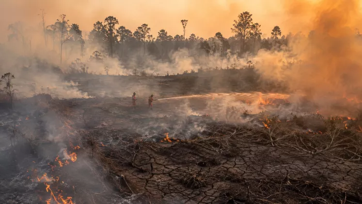 Dunia Masuk Zona Bahaya Cuaca Ekstrem akibat El Nino, Indonesia Hadapi Ancaman Karhutla Lebih Panjang
