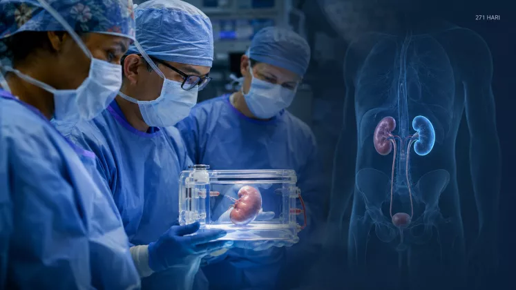 Ginjal Babi Hasil Rekayasa Genetik Berhasil Bekerja 271 Hari pada Pasien Manusia