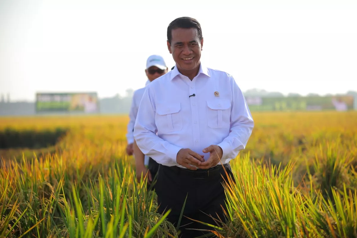 Mentan Amran Pastikan Pangan Nasional Aman Hadapi El Nino: Produksi Tetap Kuat, Surplus Terjaga
