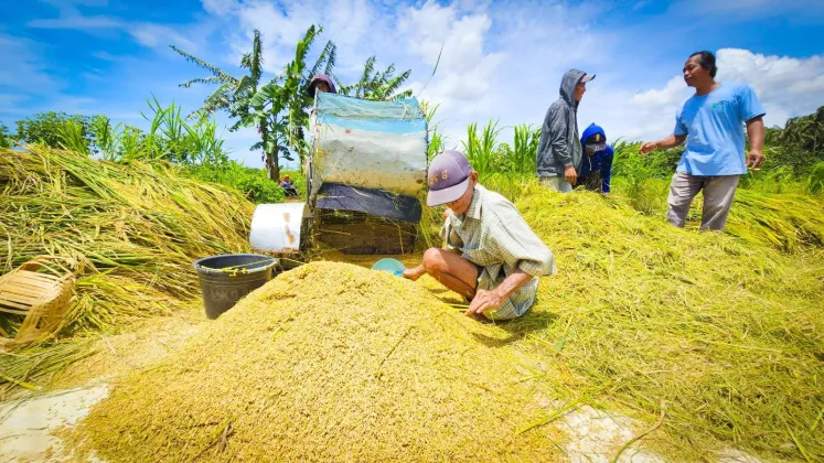 Kementan Mendukung Fathur Berantas Korupsi, Namun Tuntut Balik Bila Tak Terbukti