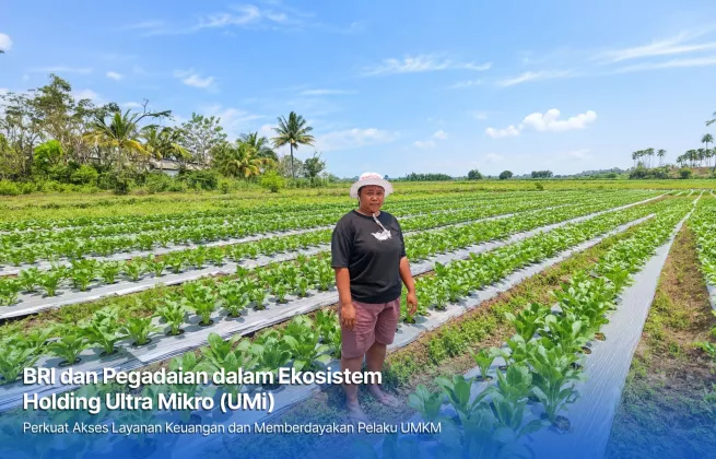 Dari Gadai Emas hingga KUR Mikro, Holding Ultra Mikro Bawa Mur Dwi Astuti Sukses Jadi Petani di Merauke 