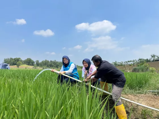 Electrifying Agriculture PLN Bantu Jaga Produktivitas Petani di Musim Kemarau