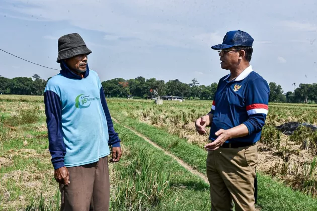 Mardiono Dukung Penuh Langkah Strategis Mentan Amran Lindungi Petani, Dukung Ketahanan Pangan