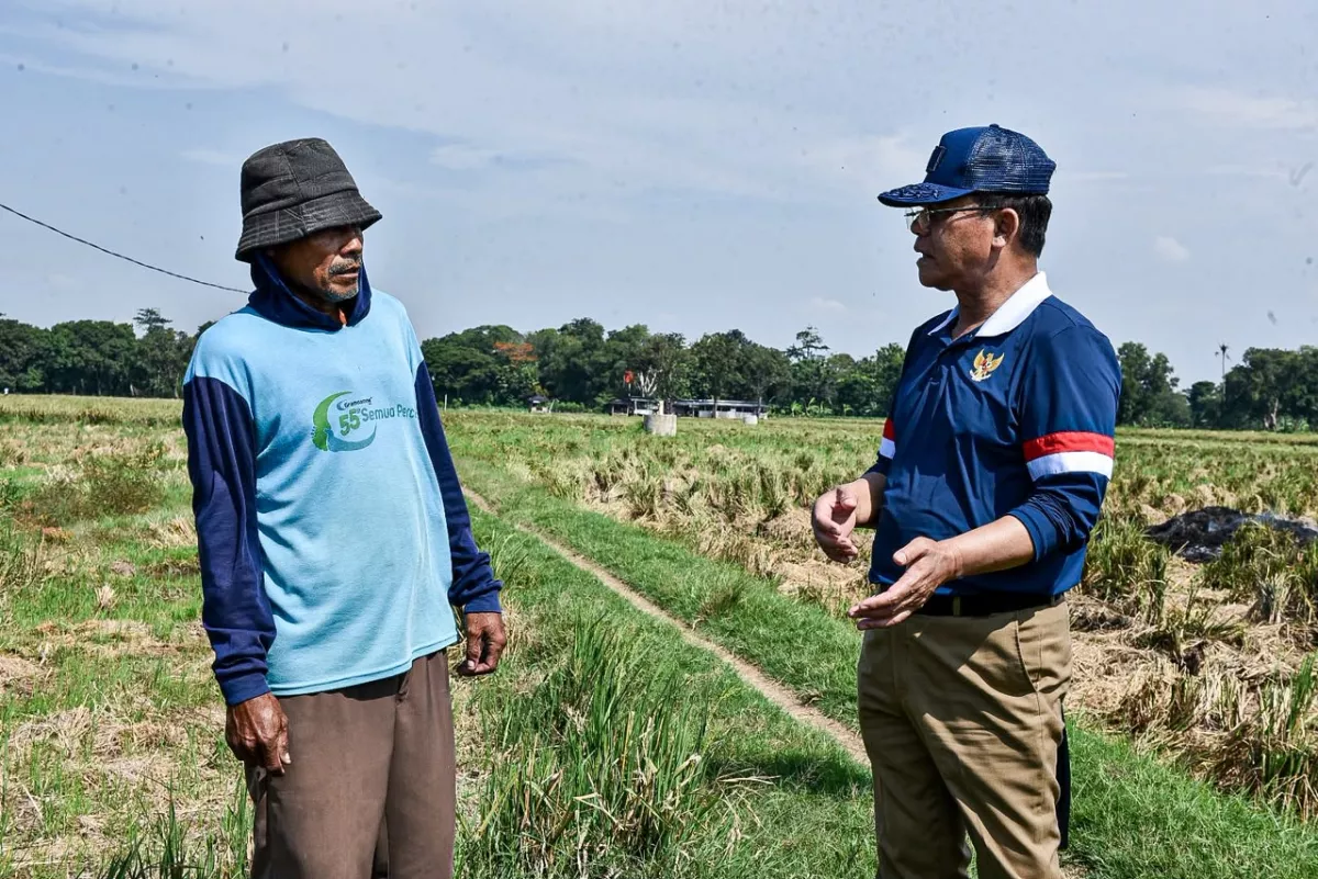 Mardiono Dukung Penuh Langkah Strategis Mentan Amran Lindungi Petani, Dukung Ketahanan Pangan