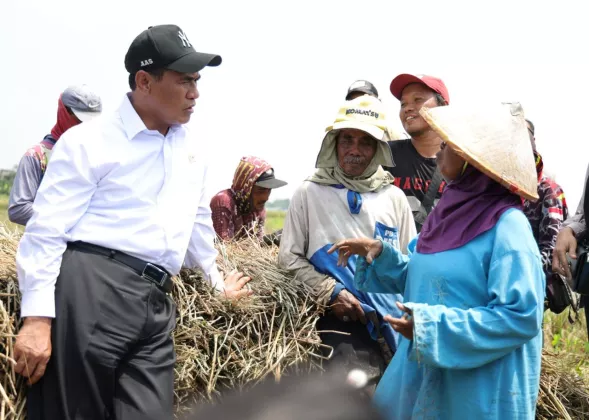 Kesejahteraan Petani Terus Menguat, NTP September 2026 Tembus 131,11