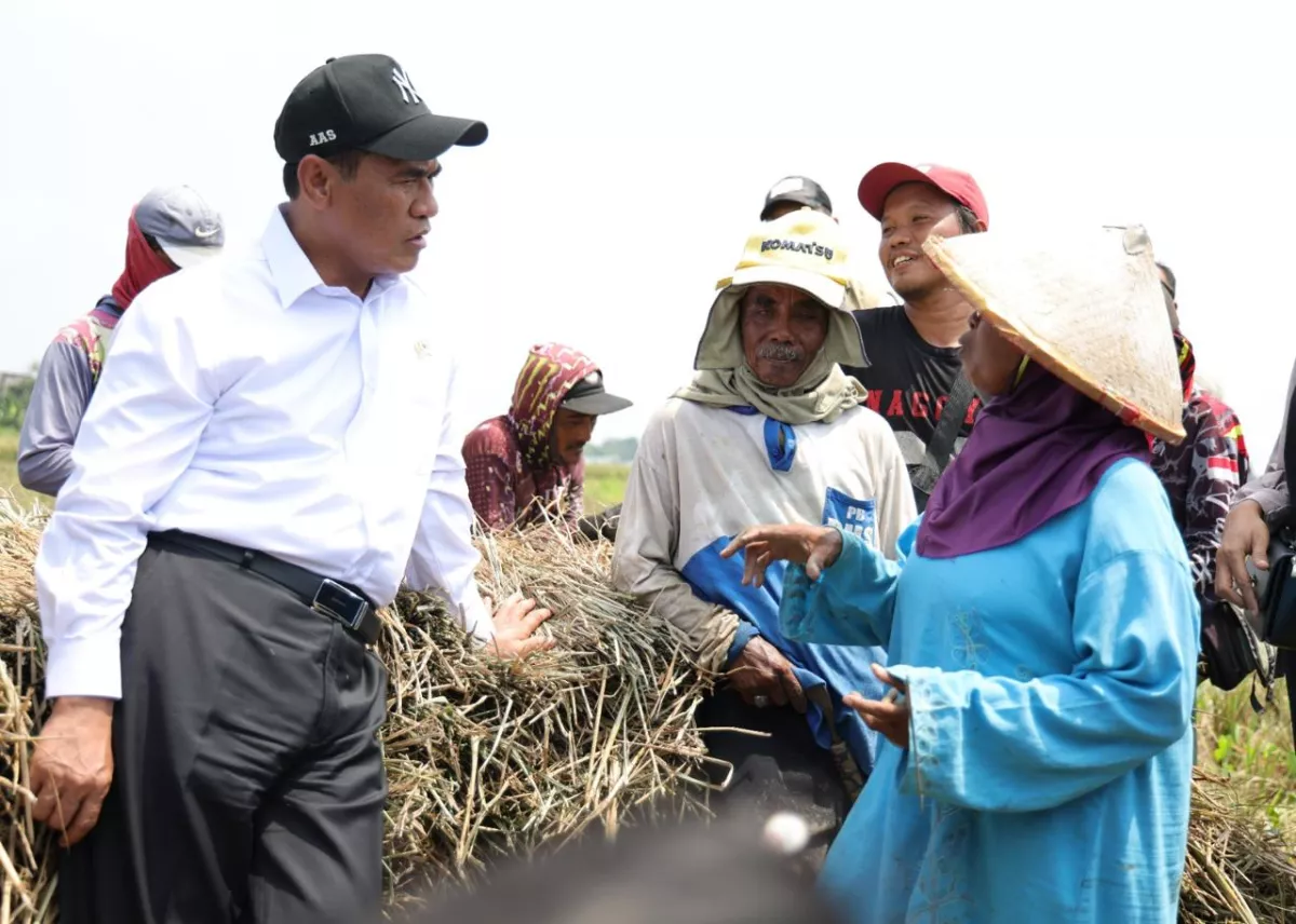 Kesejahteraan Petani Terus Menguat, NTP September 2026 Tembus 131,11