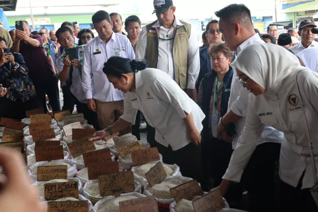 Produksi Padi 2026 Naik, Pasokan Beras di Pasar Tetap Melimpah