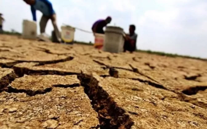 Asuransi Jasindo Dorong Antisipasi Risiko Iklim di Tengah Antisipasi Dampak Super El Nino